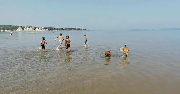 Cocuklar Sokaga Cikma Kisitlamasini Dinlemeden Denize Girdi Takvim