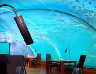 Dünyanın en garip restoranları...