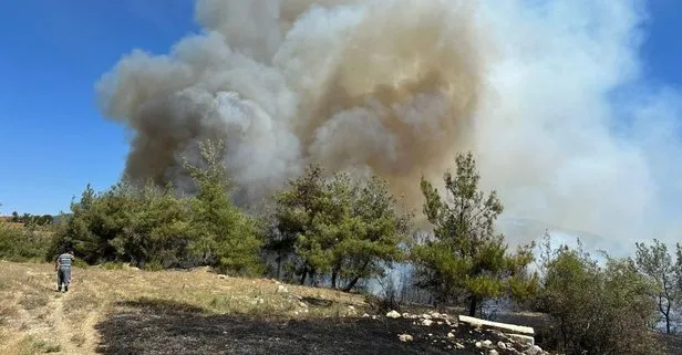 Adana'da orman yangını