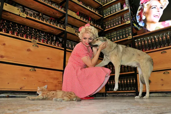 mardinli-marilyn-monroe-parasinin-yuzde-90ini-sokak-hayvanlarina-harciyor-1634456437182.jpg Mardinli Marilyn Monroe parasının yüzde 90'ını sokak hayvanlarına harcıyor-5