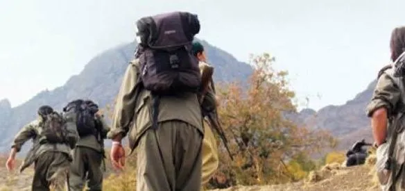 Elazığ'ın Palu ilçesi yakınında yolu kesen teröristler, bir araçtan indirdikleri dokuz mühendisi öldürdü