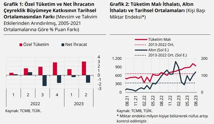 TCMB Başkanı Hafize Gaye Erkan'dan flaş enflasyon açıklaması: "İyileşme sağlanana kadar tüm araçlarımızı kararlılıkla kullanmaya devam edeceğiz"-9
