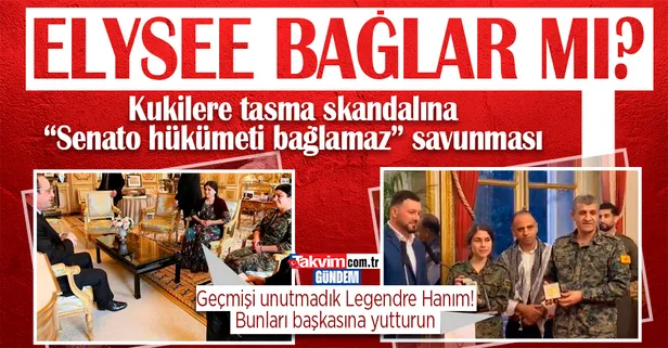 Teröristlere onur madalyası veren Fransa'dan skandal savunma: Senato hükümeti bağlamaz