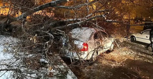 Aksaray’da etkili olan kar yağışı ağaçları devirdi! Devrilen ağaçların altında kalan araçları itfaiye ekipleri kurtardı