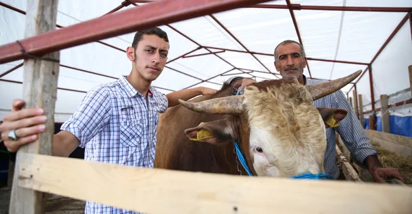 İstanbul'da kurban satışları ne zaman başlayacak? Kurban bayramı ne zaman? Kurban bayramı tatili kaç gün?-1