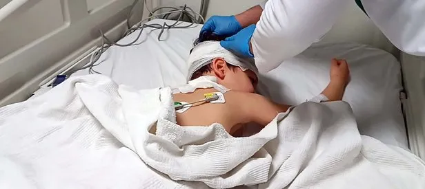 Adıyaman’da başıboş köpek dehşeti!