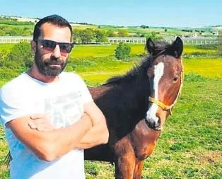 Emre dörtnala