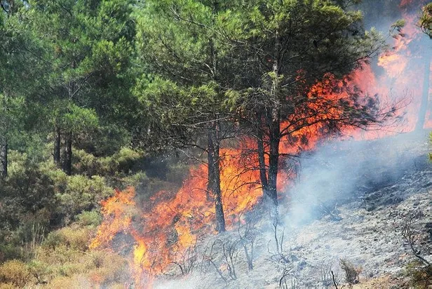 CHP, PKK’nın yangınlarına neden ses çıkarmıyor?-2