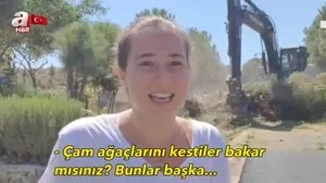 CHP’li belediyeden İzmir Karaburun’da çevre katliamı! Genç kız çam ağaçlarının iş makineleriyle sökülmesini gözyaşları içinde izledi