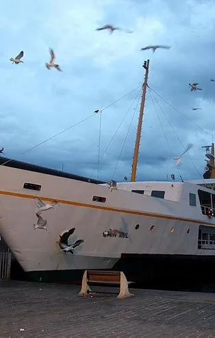 Son dakika: Marmara'da ulaşıma yağmur engeli: BUDO ve İDO'da sefer iptalleri var