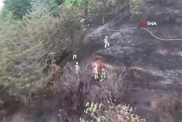 Kağıthane’de ağaçlık alan alev alev yandı