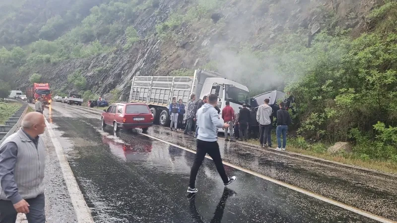 Bursa'da kamyon cipi adeta biçti! Korkunç kazada araçlar kafa kafaya girdi! Anne ve oğlunu ölüm ayırdı!-1
