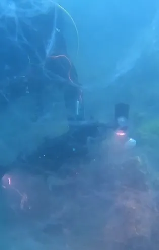 Marmara'nın dibinde içler acısı görüntü! İşte müsilajın tahribatı! Resmen korku filmi gibi!