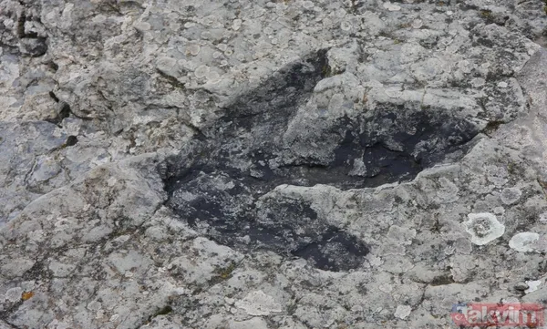 230 milyon yıldır oradaydı! Meğer evrenin en eski... - 3