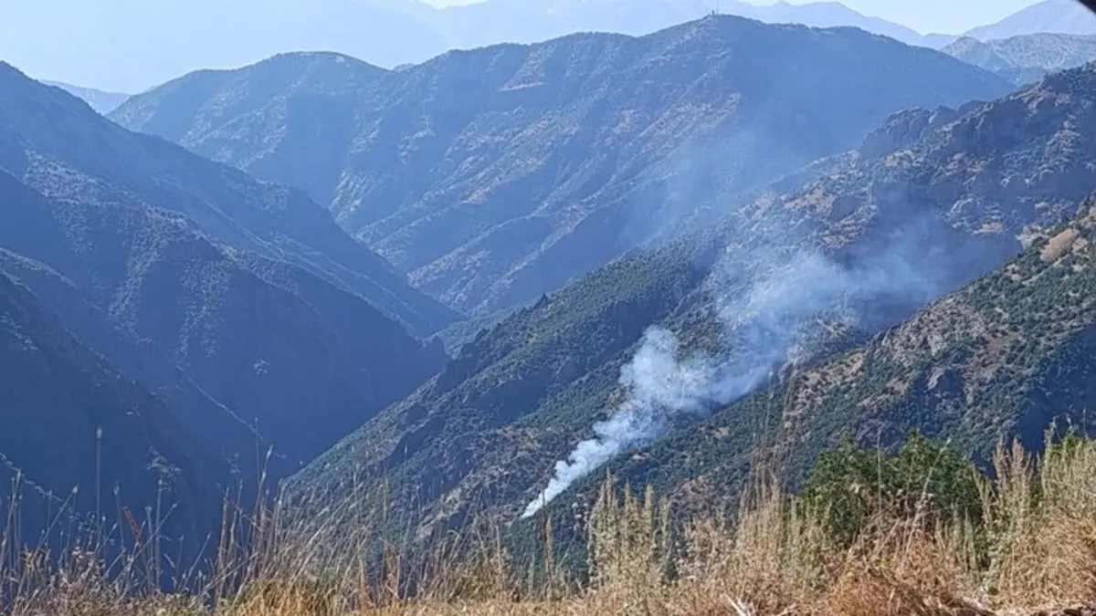 Munzur Vadisi Milli Parkı'nda orman yangını: Ekiplerden yoğun müdahale