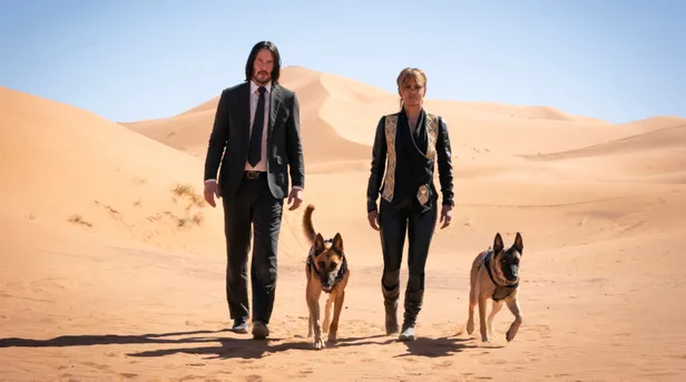 john-wick-film-serisini-olusturan-uc-filmde-keanu-reevesin-canlandirdigi-john-wick-toplamda-kac-kisiyi-etkisiz-hale-getirmistir-1633118232352.jpg