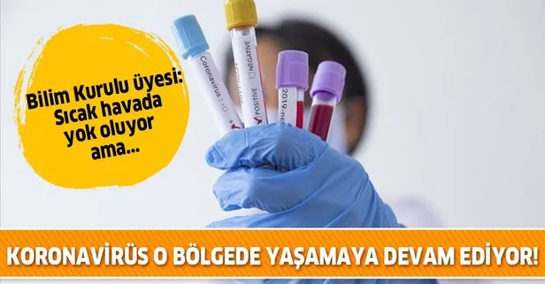 Bilim Kurulu Üyesi İlhami Çelik: Koronavirüs sıcakta yok oluyor ama insan vücudunda yaşamaya devam ediyor