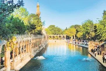 Peygamberler şehrine 100 yeni proje