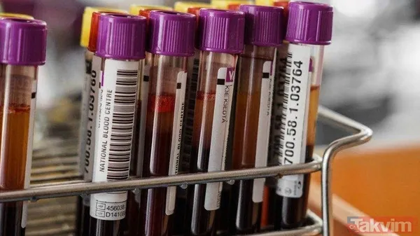 Bilim insanları da doğruladı! Hangi kan grubunun IQ’su daha yüksek? İşe alımlarda bile buna bakılıyor! Meğer... - 1