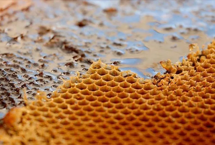 Kabızlığa çare bal