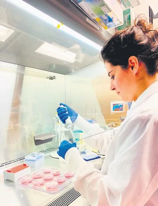 katliamin-hizi-1702169989372.jpeg Anne ve oğlunun acı sonu: Yolun karşısına geçerken cip çarptı-10