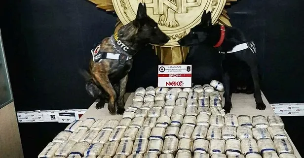 Son dakika: Hakkari'de uyuşturucu operasyonu: 52 kilo 400 gram eroin ele geçirildi