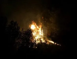 Manisa’da orman yangını!