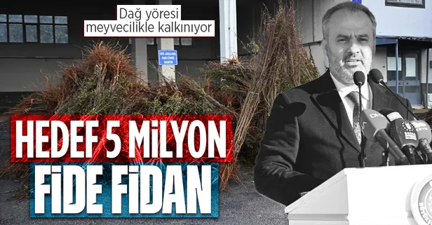 Bursa'da dağ yöresi meyvecilikle kalkınıyor