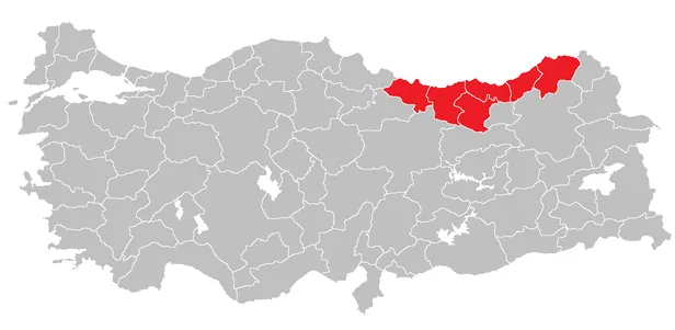 gurcistandan-samsuna-kadar-yayildi-karadenizi-ele-gecirdiler-baskanlardan-acil-eylem-uyarisi-giresun-rize-artv-1696510744777.png 3 ilin başkanı alarma geçti! Samsun, Giresun, Rize, Artvin, Ordu, Trabzon'da yaşayan herkesi ilgilendiriyor! " 30 km boyunca..."-2