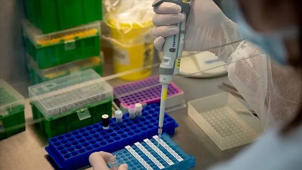 Koronavirus Test Sonucu Nasil Ogrenilir E Nabiz Covid 19 Test Sonucu Sorgulama Ekrani Takvim