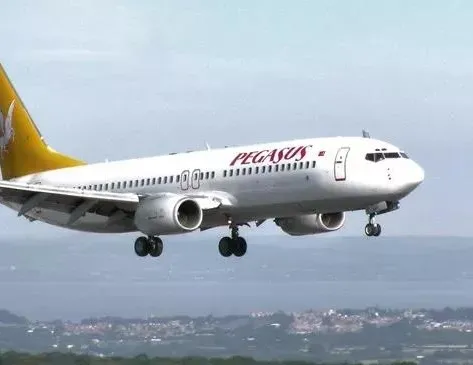 Pegasus uçağı piste giren tavşana çarptı