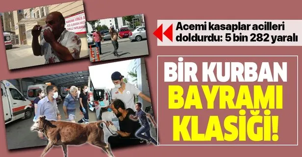 Bir Kurban Bayramı klasiği! Türkiye genelinde 5 bin 282 acemi kasap!