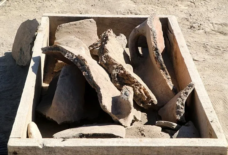 Burdur'da 5 bin yıllık iskelet bulundu (DHA)