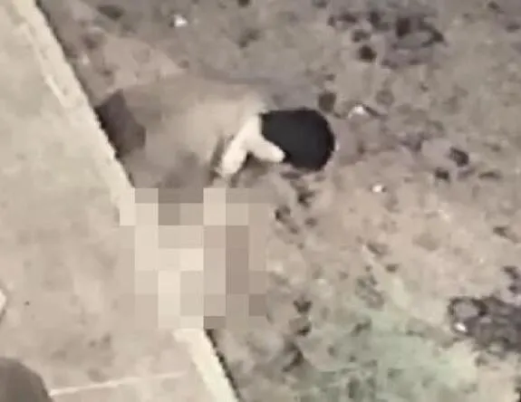 Sakarya’da iğrenç olay