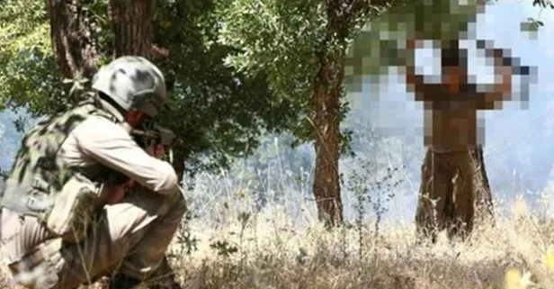 Terör örgütü PKK’da çözülme sürüyor! 1 terörist daha teslim oldu