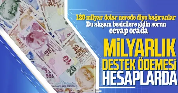 SON DAKİKA: Tarım ve Orman Bakanı Bekir Pakdemirli: 1 milyar 468 milyon 535 bin 735 liralık hayvancılık desteğini bugün yatırıyoruz