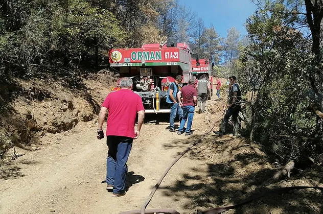 Karabük'te orman yangını