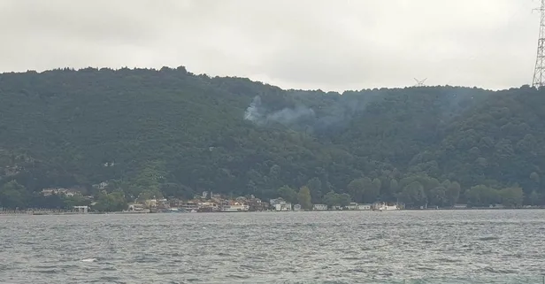 Son dakika: İstanbul Beykoz'da orman yangını! Ekipler bölgede