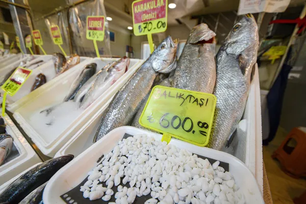 baligin-kilosu-70-lira-kafasindaki-tasin-kilosu-600-lira-1631170023970.jpg Balığın kilosu 70 lira! Kafasındaki taşın kilosu 600 lira-2