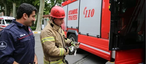 4000-tl-maasla-en-az-lise-mezunu-itfaiye-eri-zabita-hizmetli-sofor-alimi-ve-belediye-memuru-alimi-basvuru-sartlari-1613391502619.jpeg En az lise mezunu 4.000 TL maaşla itfaiye eri, zabıta, hizmetli, şoför alımı ve belediye memuru alımı başvuru şartları!-2