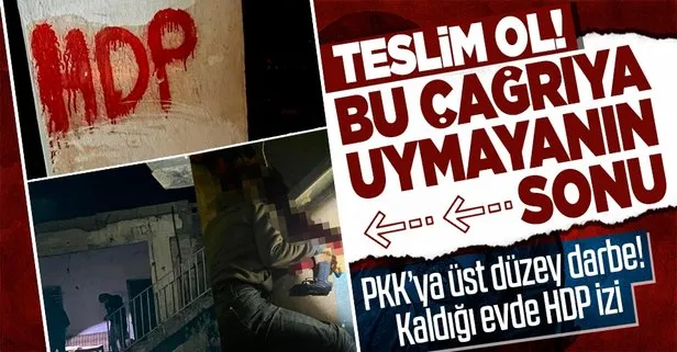 Terör örgütü PKK’ya ağır darbe!