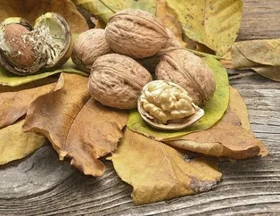 Her gün ceviz kireçlenmeyiz