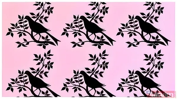 Optik İllüzyonları Çözmek, Zihinsel Esnekliği Arttırır Ve Gözlem Becerilerini Geliştirir. Beyin, Farklılıkları Ve Desenleri Algılamak İçin Yoğun Çaba Harcar Ve...