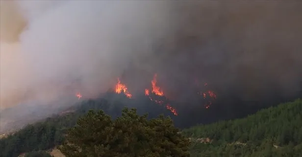 Adana'da ağaçlık alanda çıkan yangın kontrol altına alındı