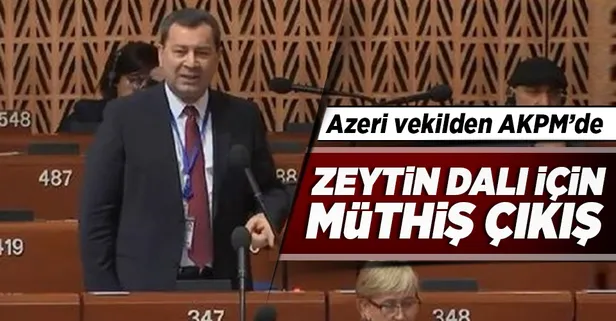 Azeri vekilden Türkiye'ye destek