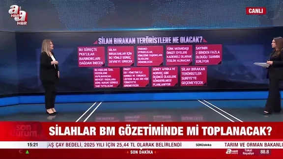 Elebaşları, kamplar ve silahlara ne olacak?