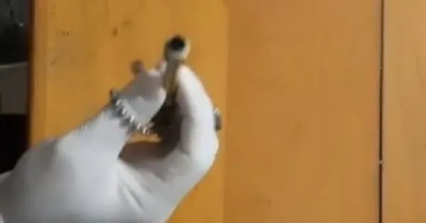 Sakarya’da şok olay! Suikast silahı kolyesi yakalandı! Polis bu sorunun yanıtını arıyor-3