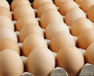 Yumurta krizi takibe alındı