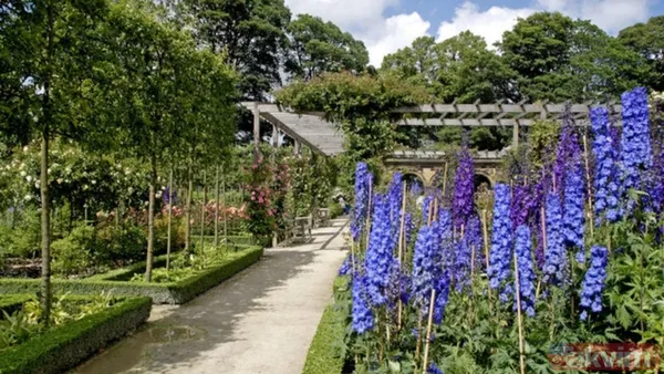 Çocuklar İçin Büyük Tehlike 🔹Bahçelerde Ve Parklarda Sıkça Rastlanan Zehirli Bitkiler, Bilim İnsanlarını Da Harekete Geçirmiş Durumda. Kimyagerler, Çocukların...