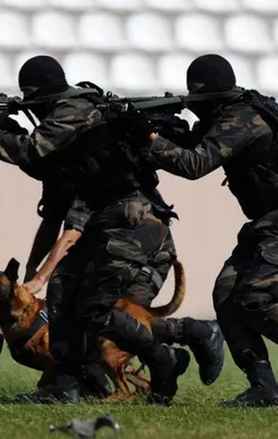 Özel harekatçılar KPSS şartı olmaksızın alınacak